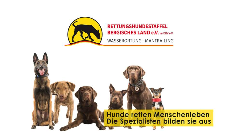 (c) Rettungshunde-bergischesland.de